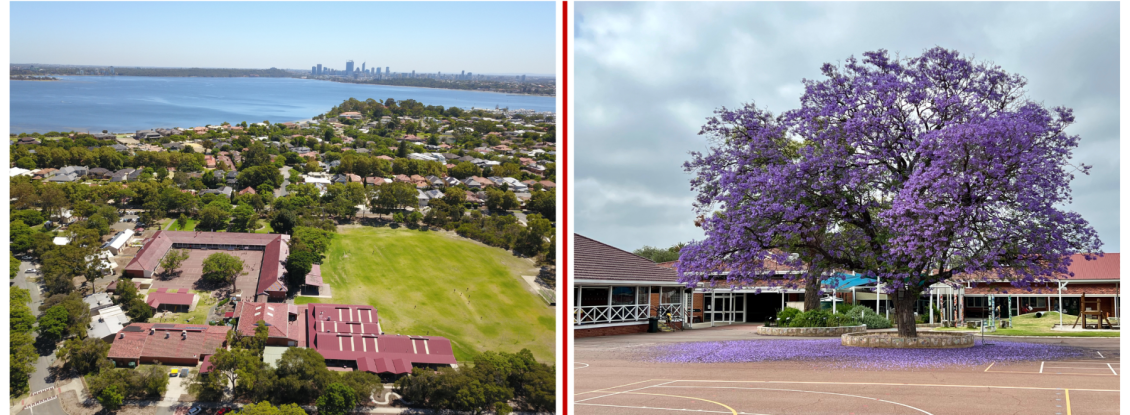 Jacaranda Grounds