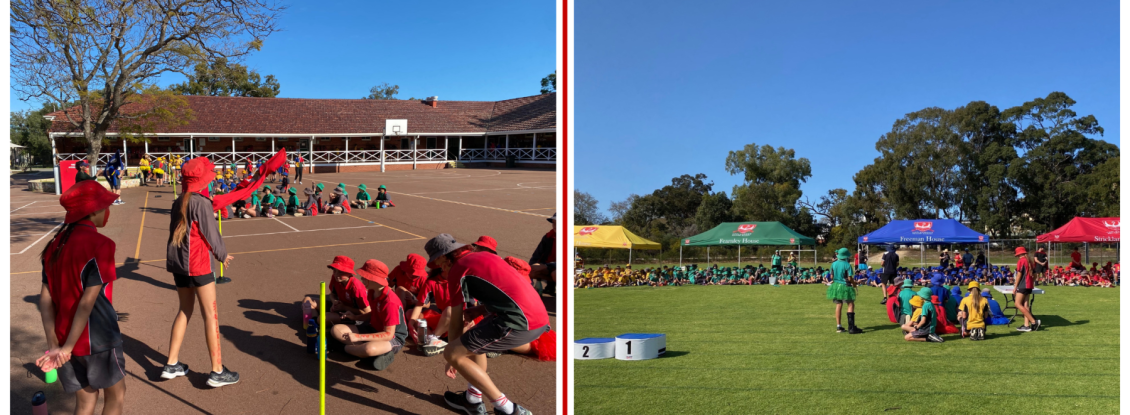 Carnivals PhysEd