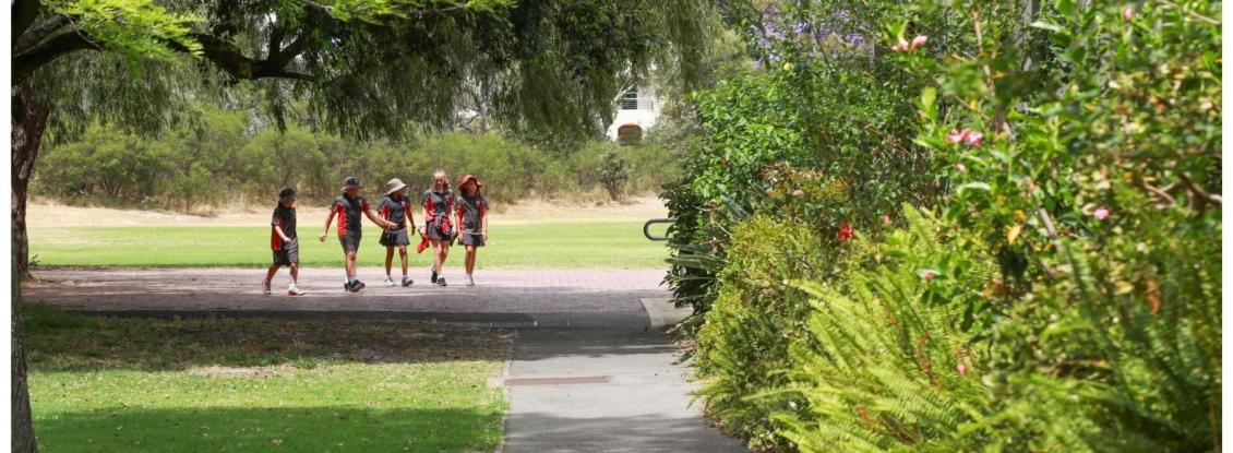 School Grounds Outdoor