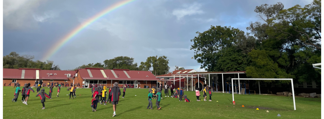 Oval Playground